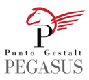 PGP ACADEMY SCUOLA DI COUNSELING E DI COACHING