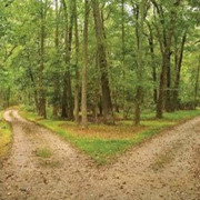 Impact Therapy: The Courage to Counsel